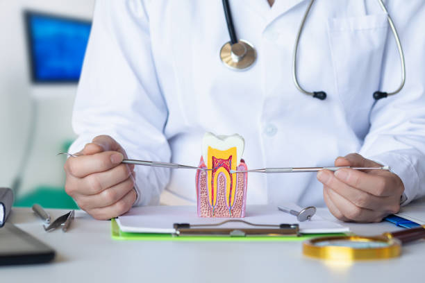 Best Urgent Dental Care for Toothaches in Enola, PA